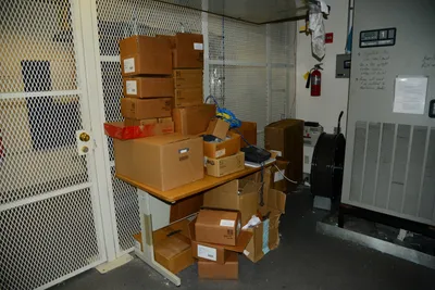 DSC_1332 (Large).JPG